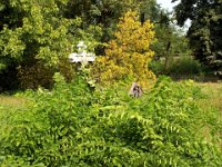 4-069 Dálnoki Gaál József